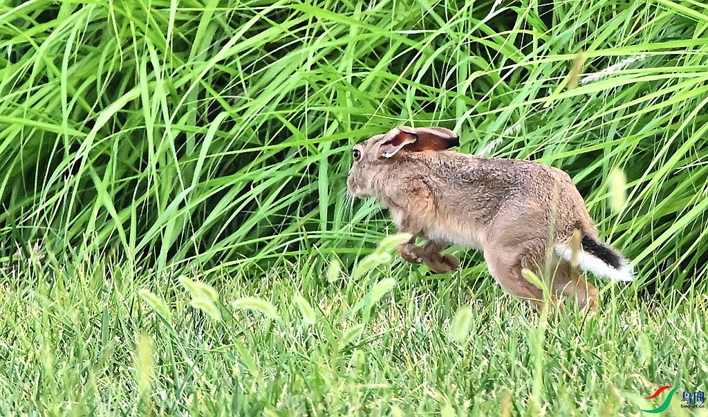 DSC_6578_����.jpg