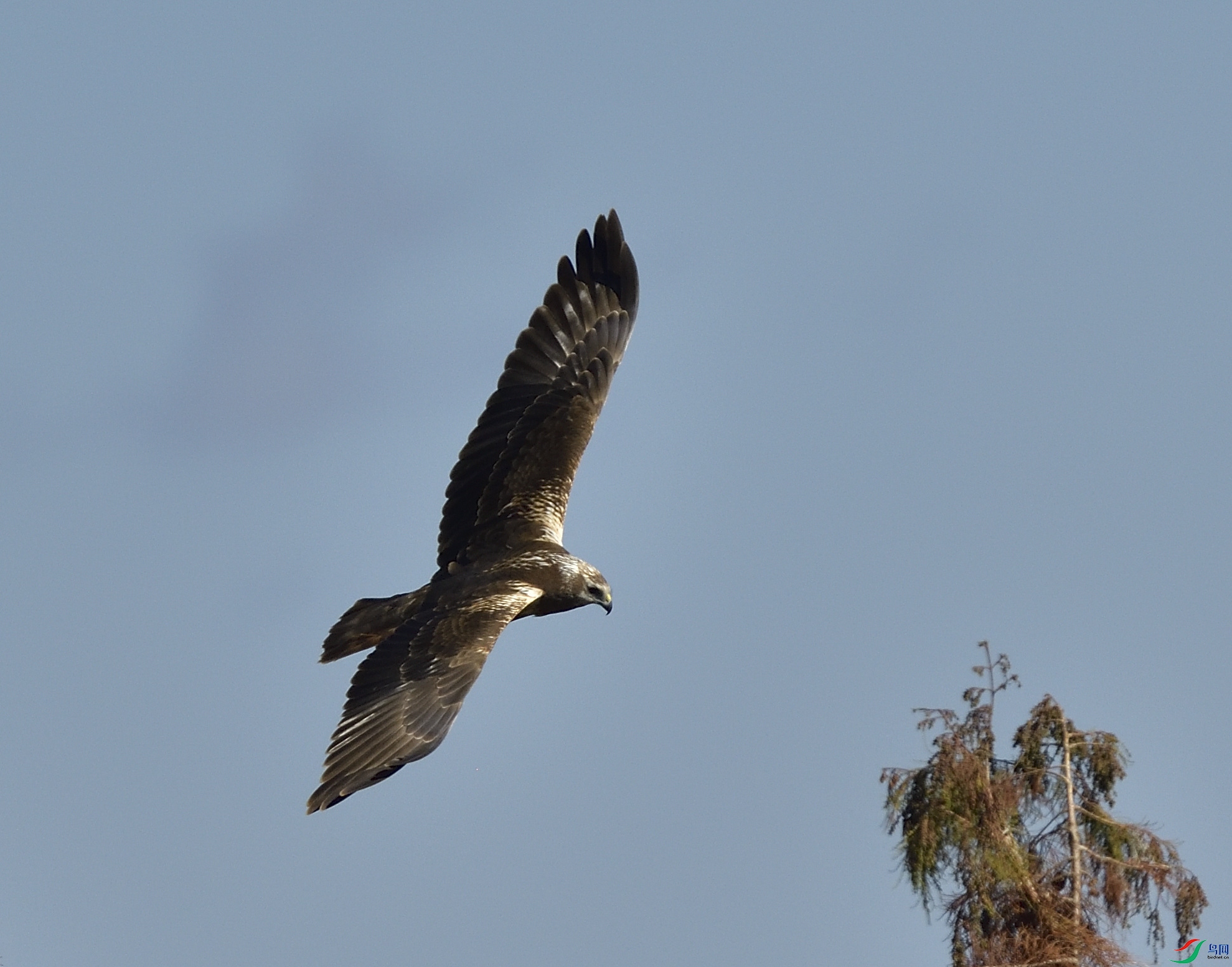 _DSC7606.JPG