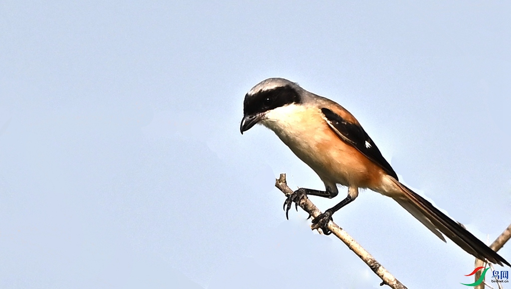 DSC_6936.JPG