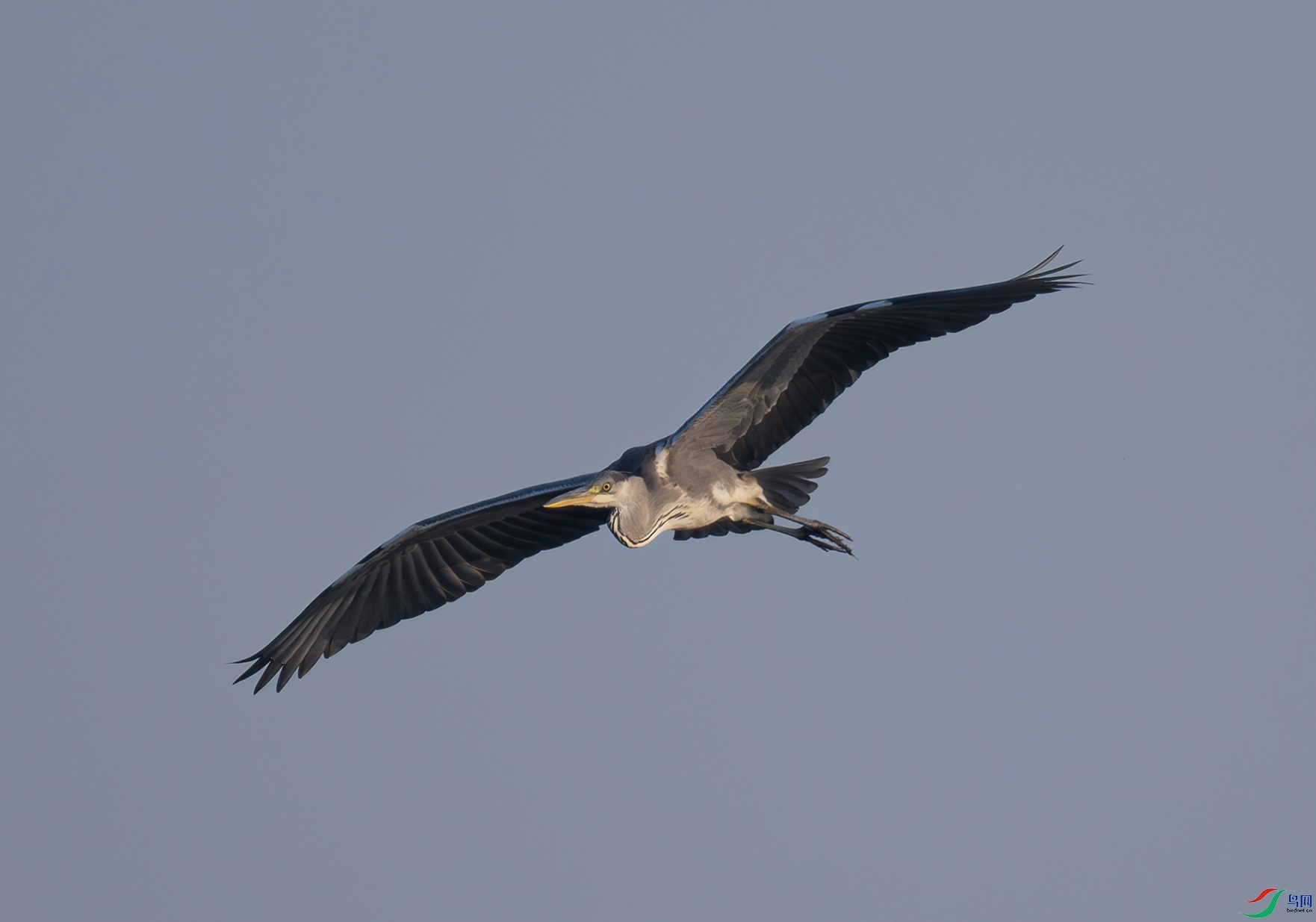 _DSC7391f.jpg