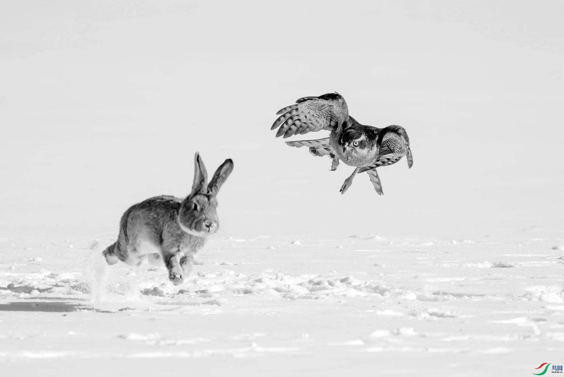 DSC00436 ����_����.jpg