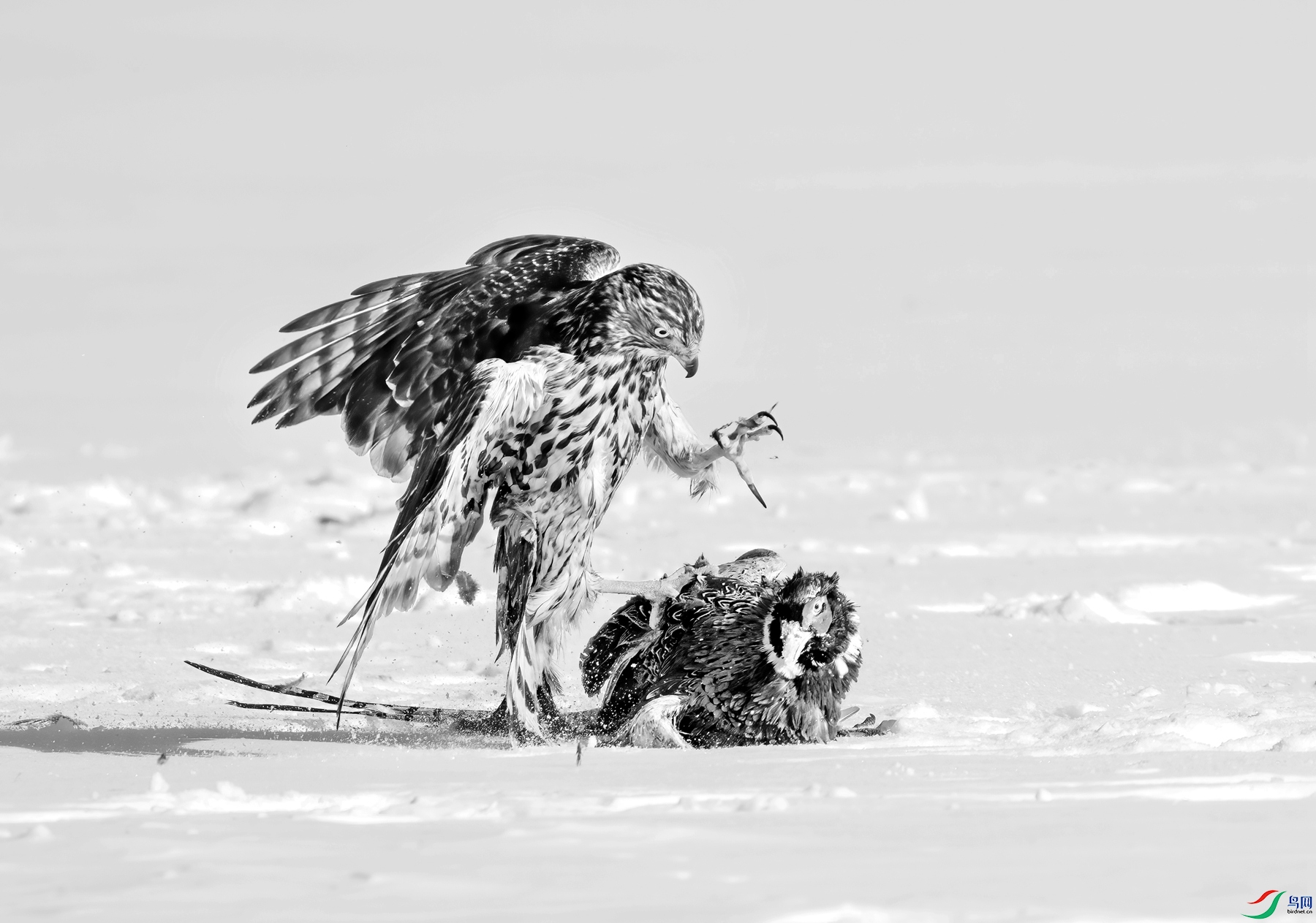 DSC00640 ����_����.jpg