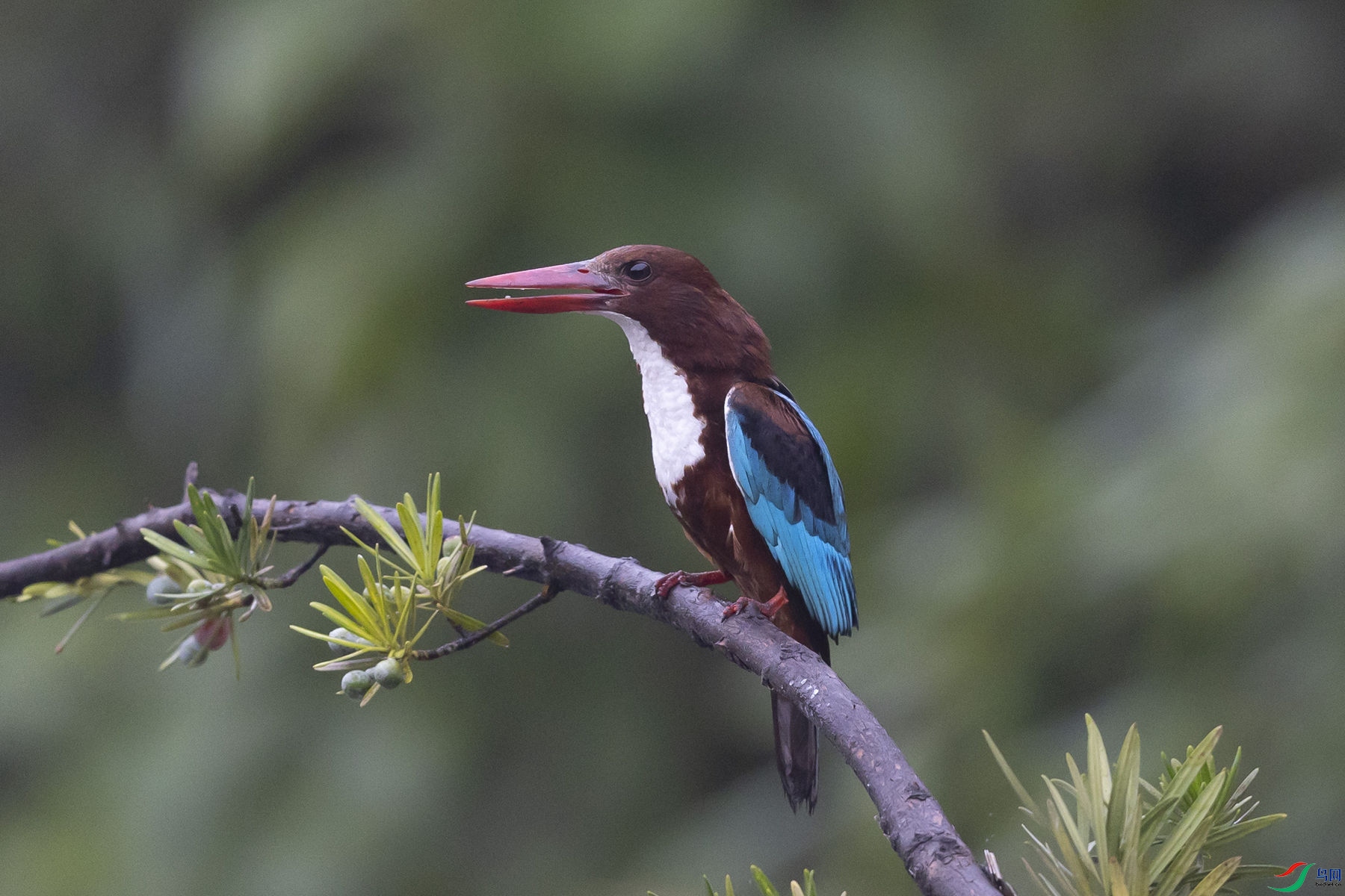 �������4