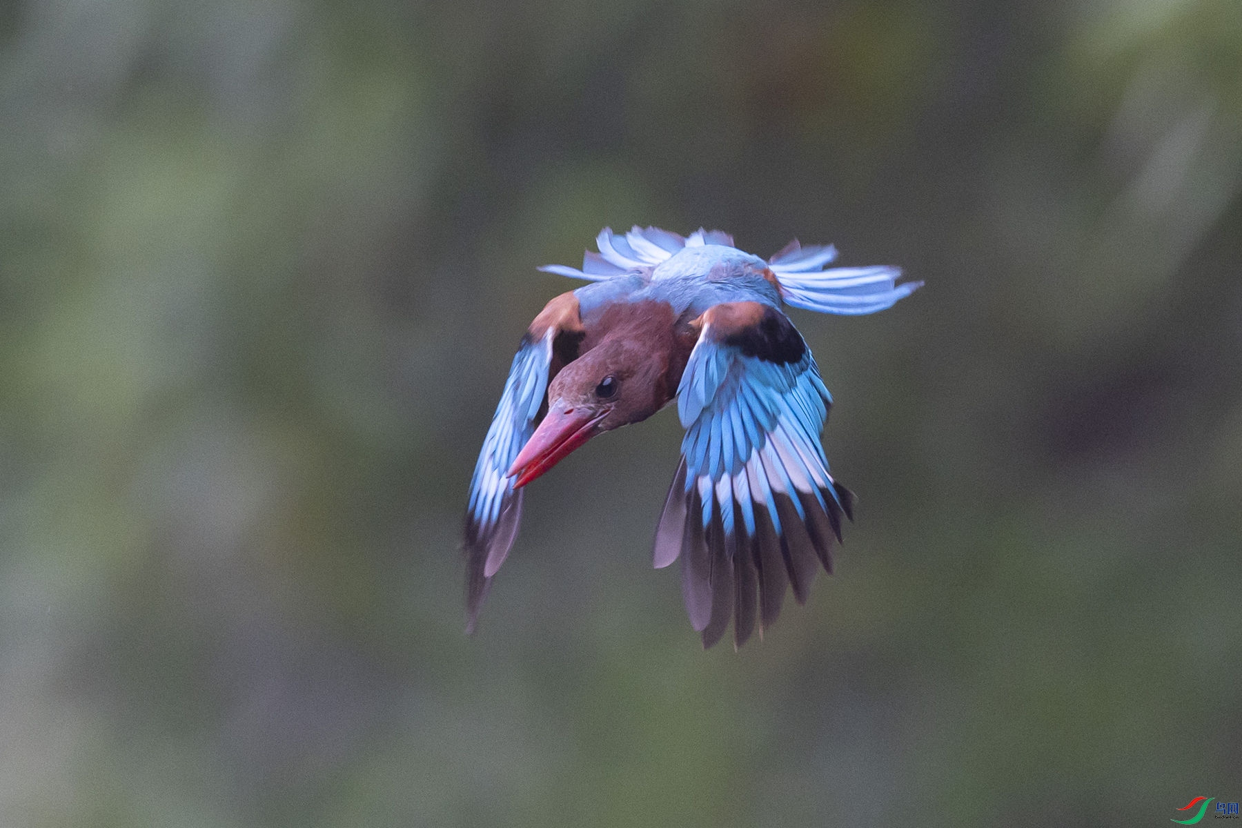 �������8