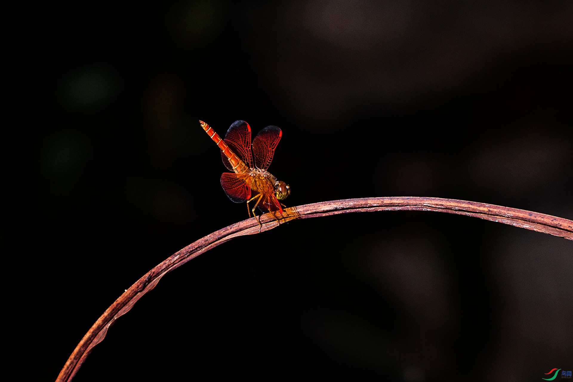 051A1040.jpg