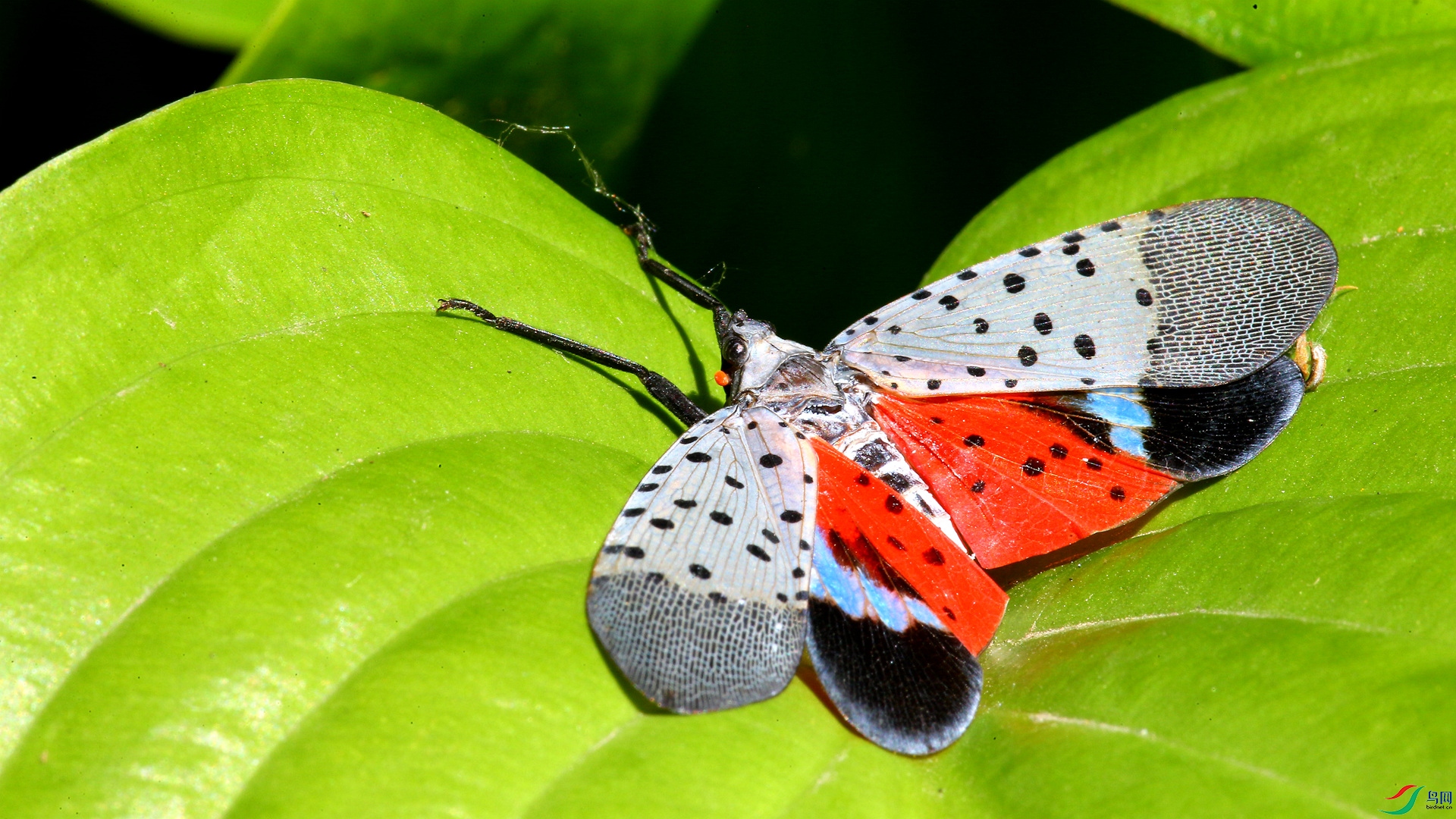 A48Z7972_����.jpg