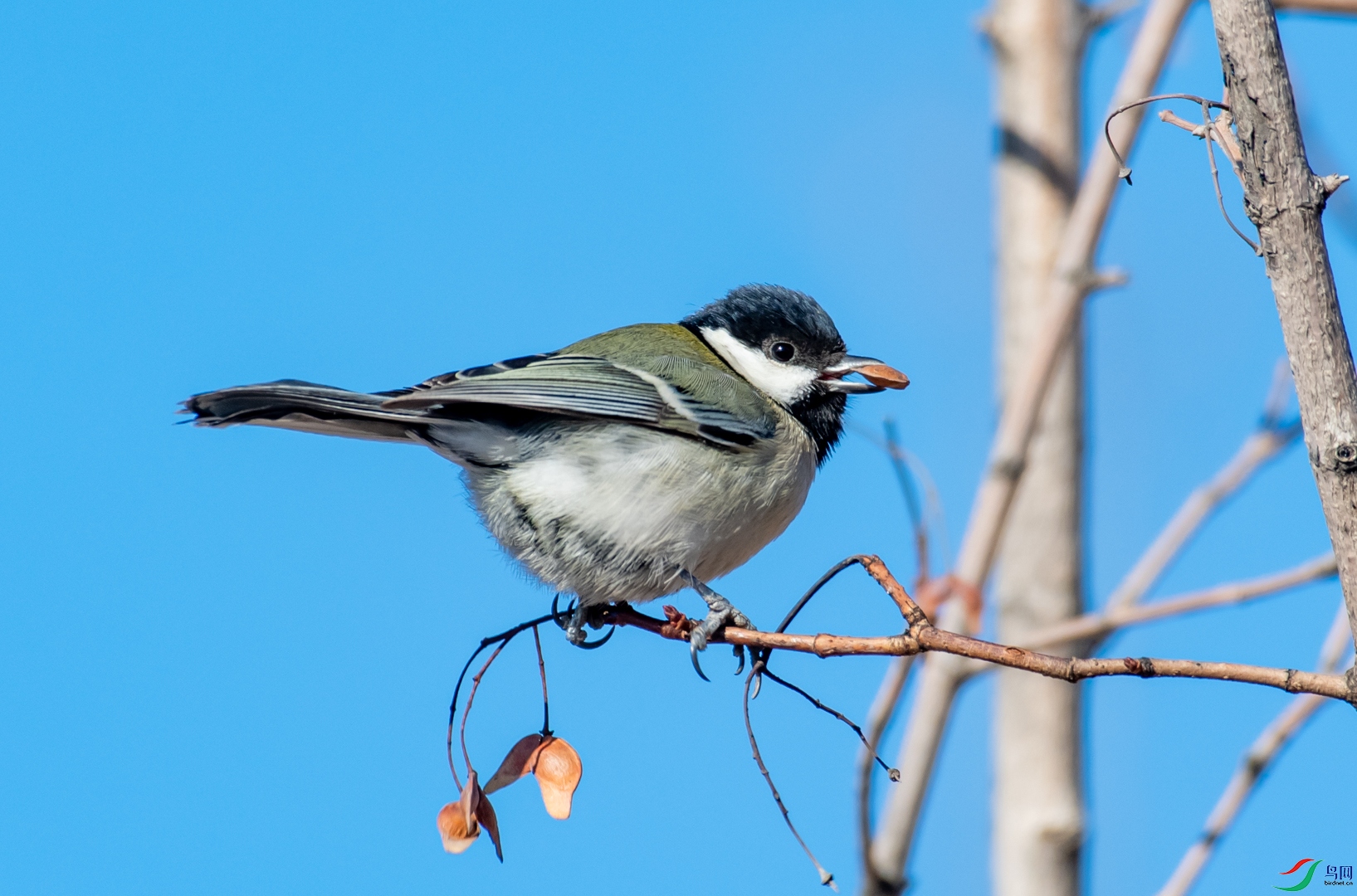 DSC_8209.jpg