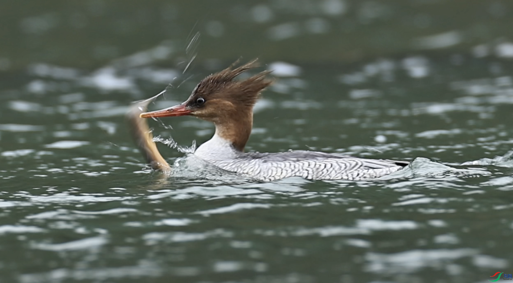 ����2024-09-01 20.42.56.png