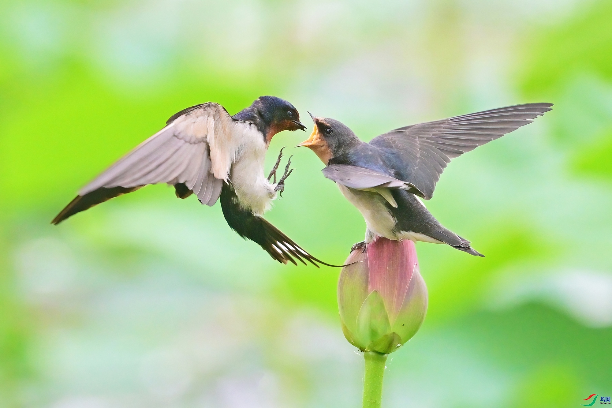 ÿ�ռ��� �Կ��� ���� 0451x��һ.jpg