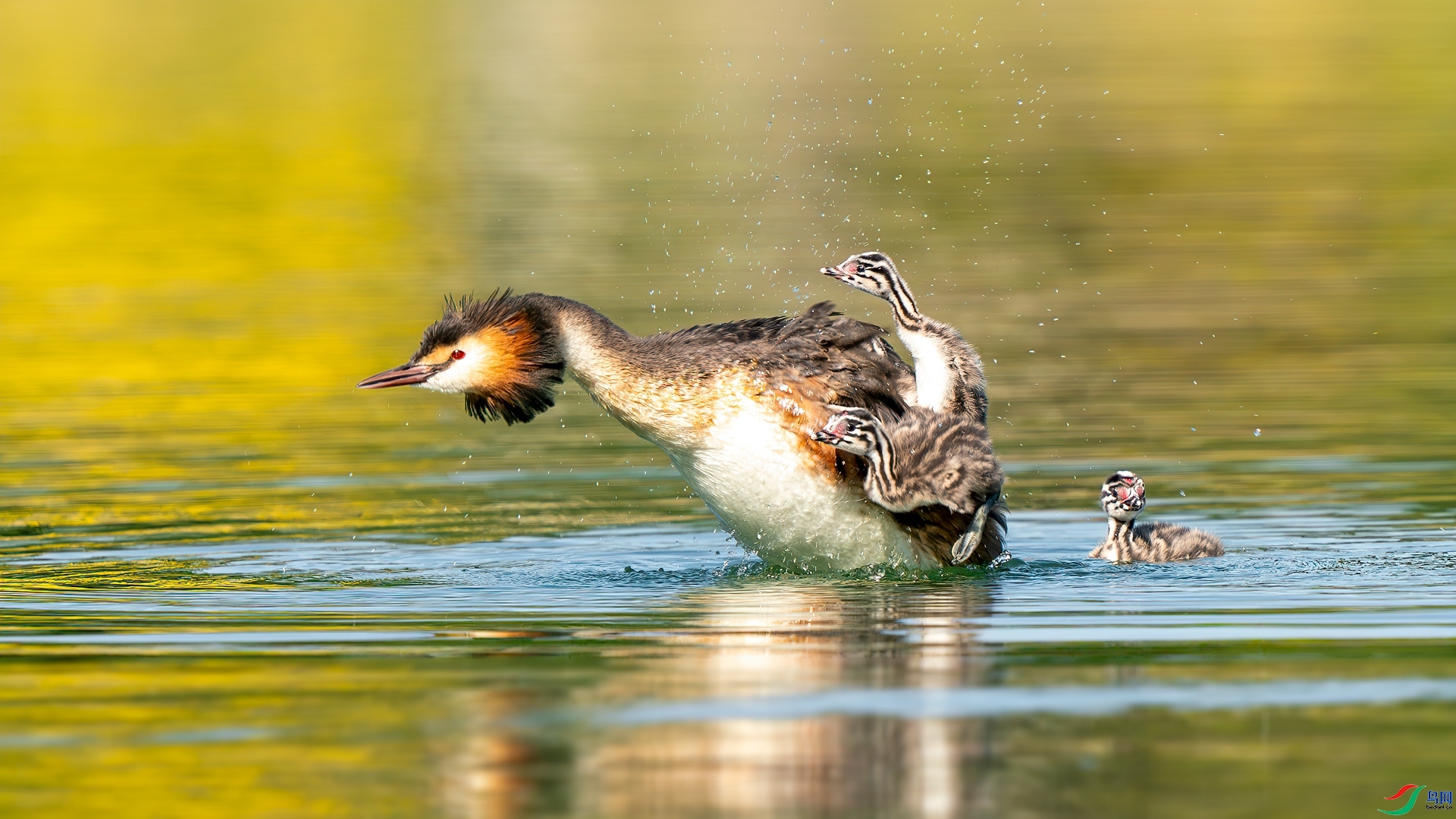 ÿ�ռ��� �����ǣ�����ˮѧϰ��  ���� �������� ����.jpg