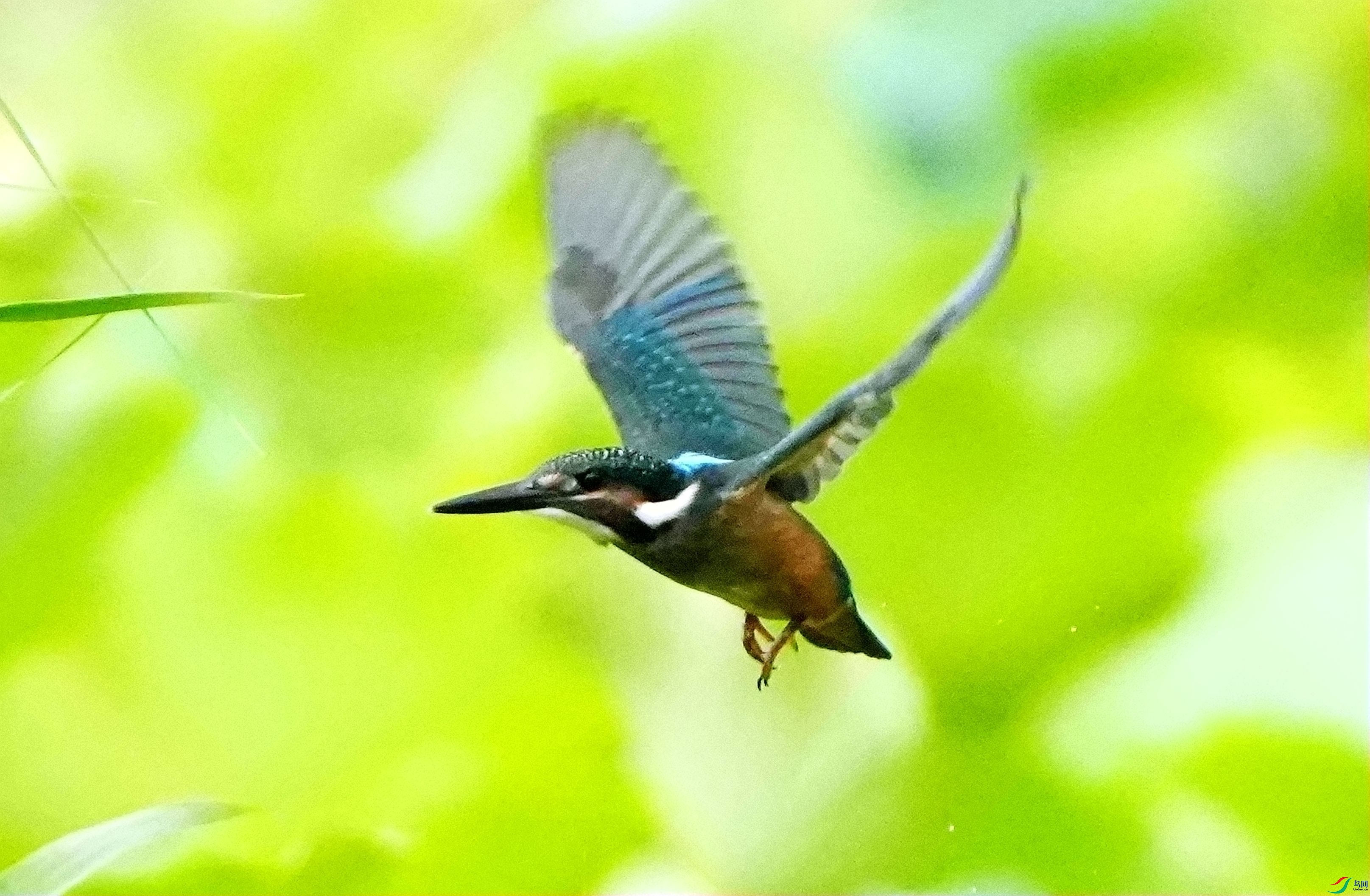 ����DSC04374_����.jpg