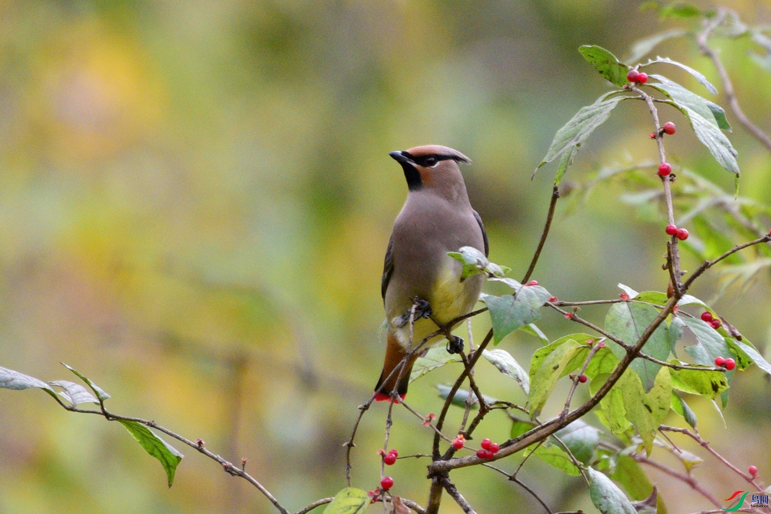 DSC_5840.JPG