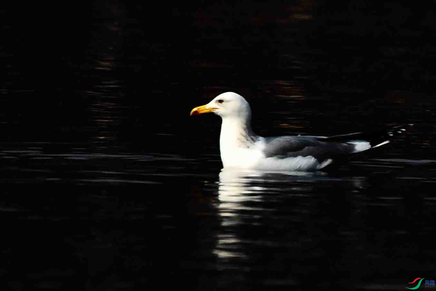 DSC_4813.JPG
