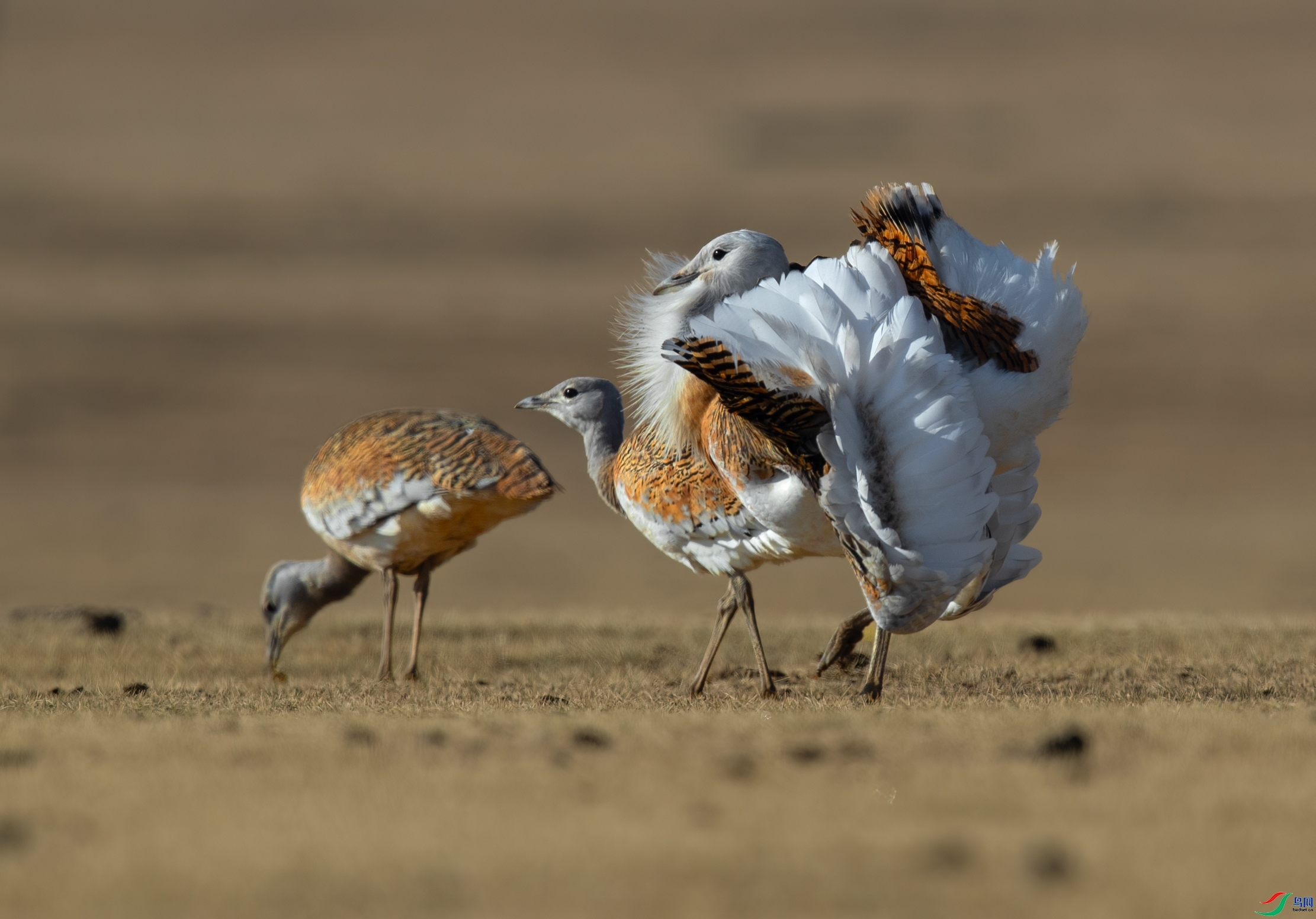 ����Ҫ���汾�� ���� һ·���� ��һ.jpg