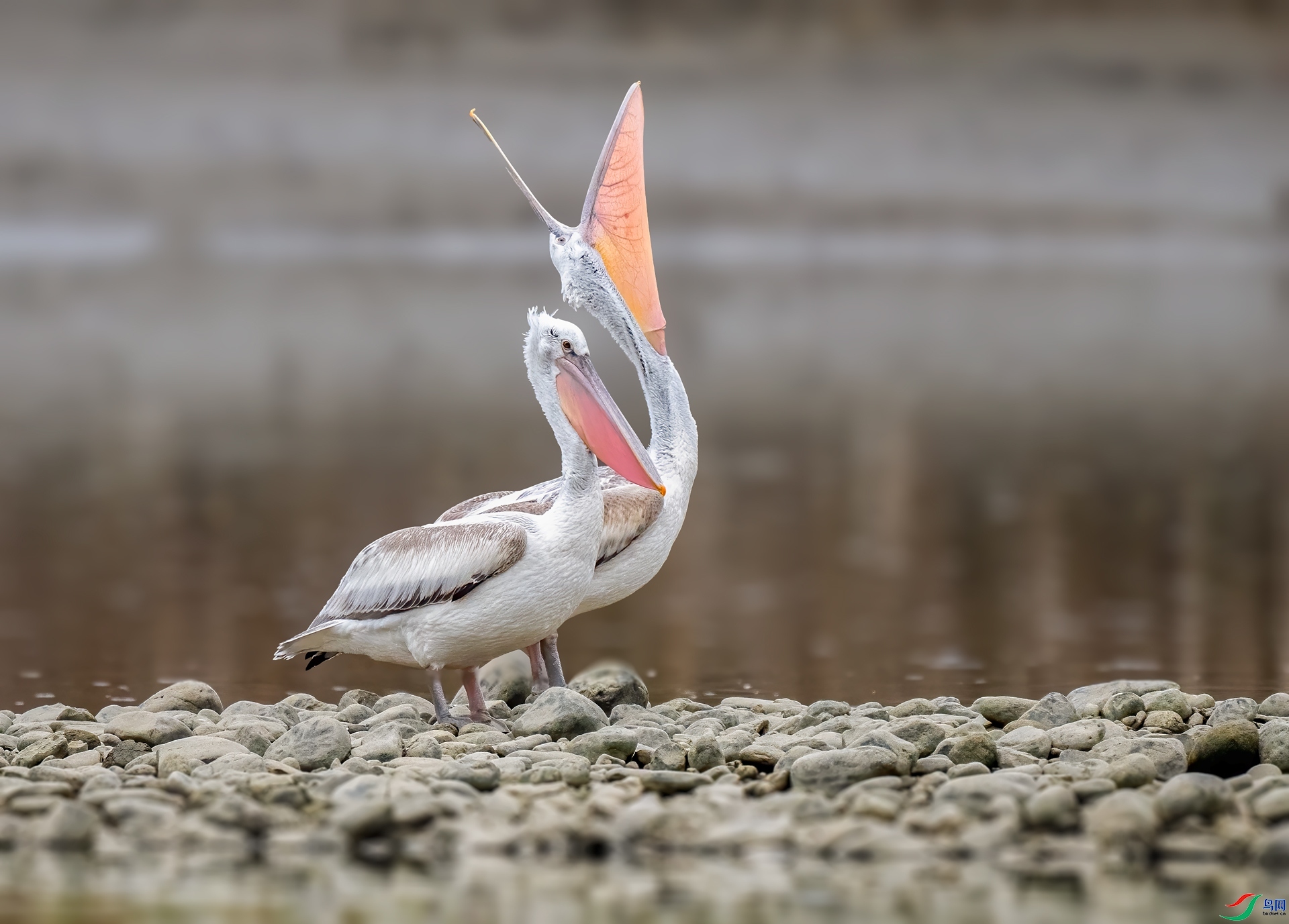 ˮ�� ���� ������ ��һ.jpg