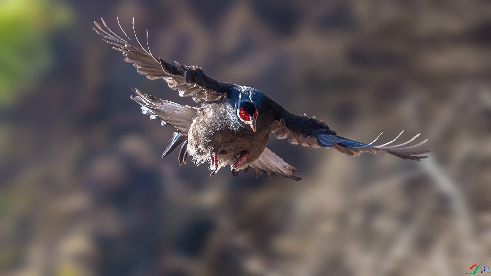 ӭ���  ���� ��ѧ�� �ܶ�.jpg