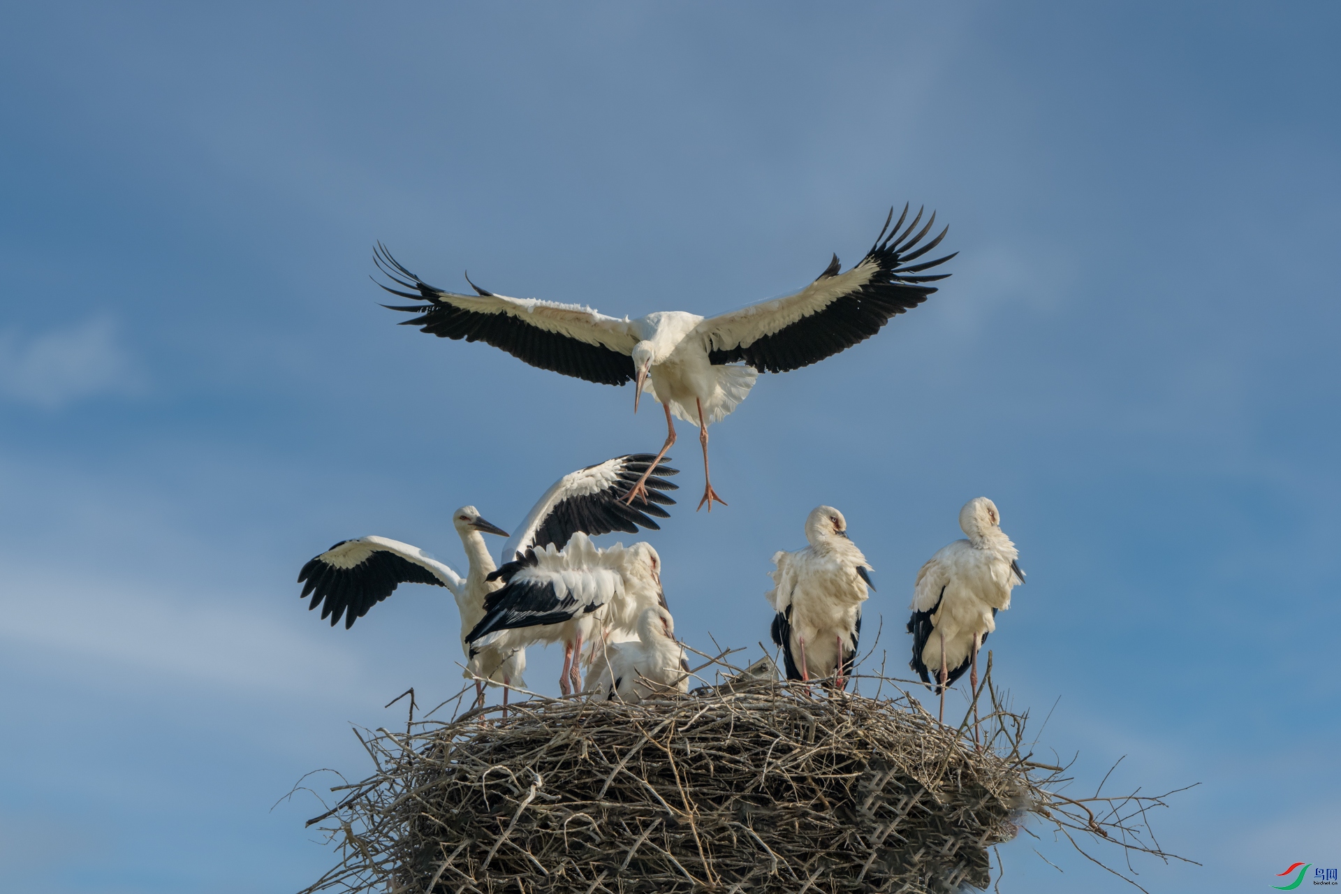 _DSC4135 ���� 2_2.jpg