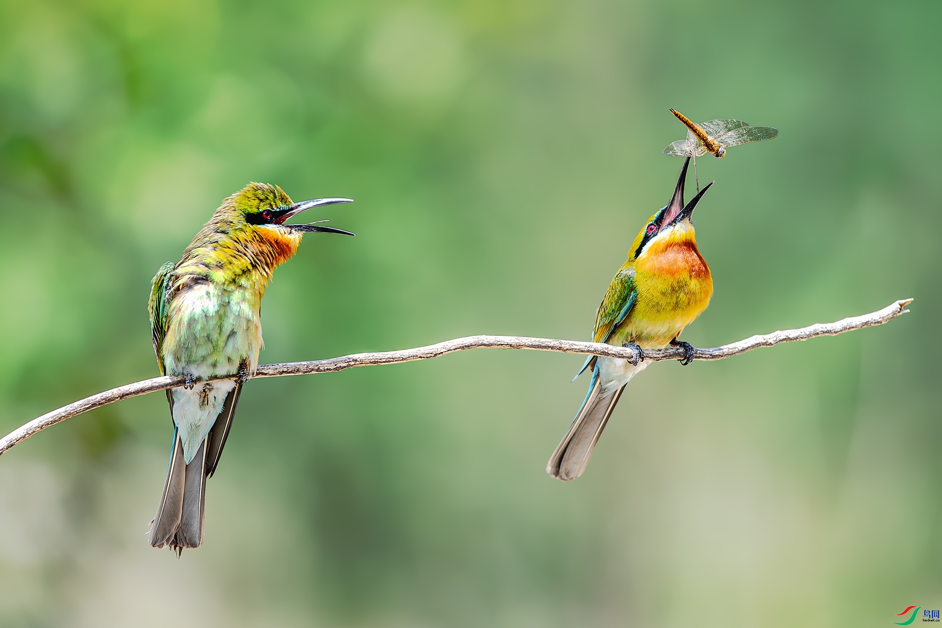 ��Ϸ ���� ����ǿ ����.jpg