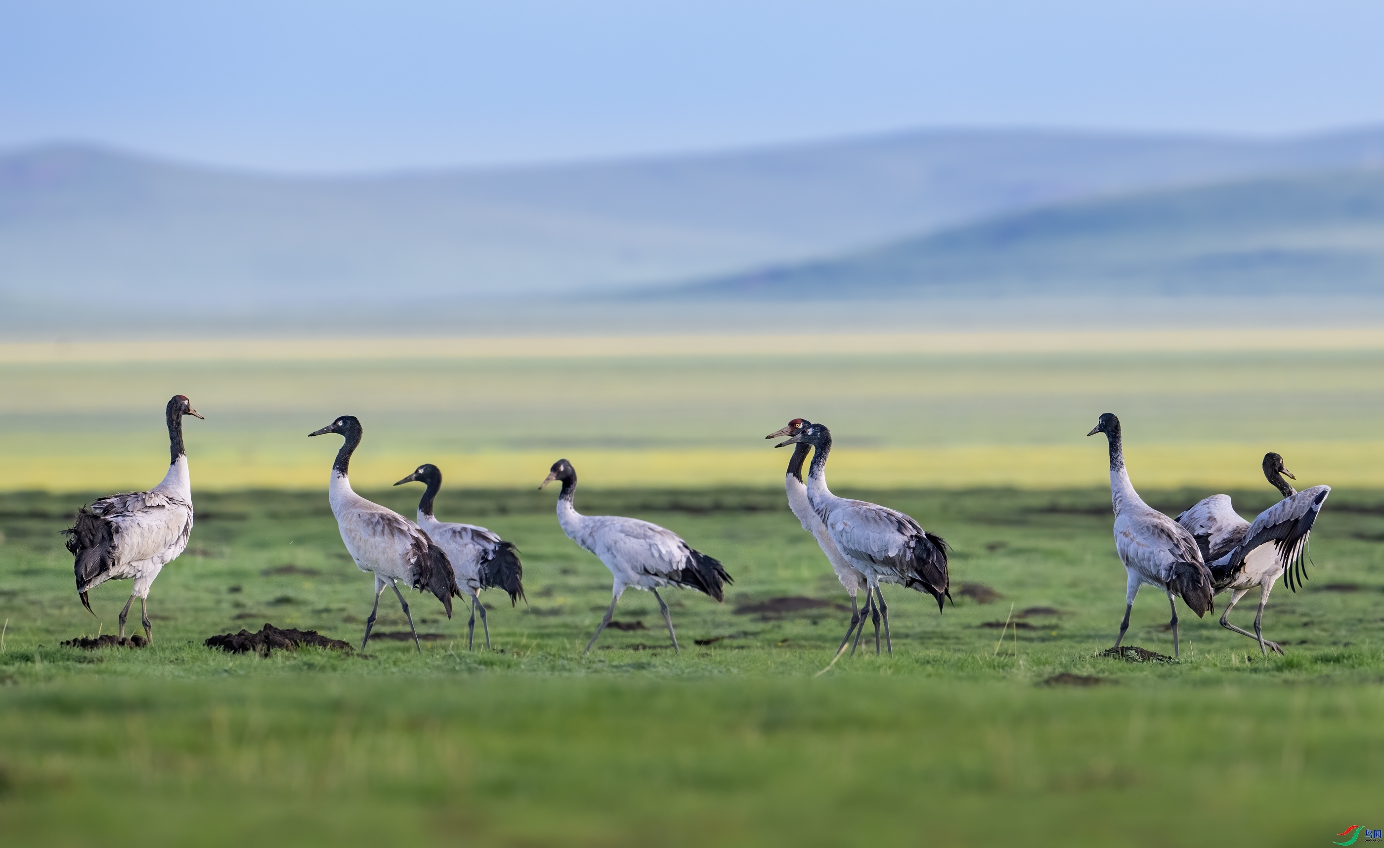 �ھ��� ���� ��Ͽ֮�� ����.jpg