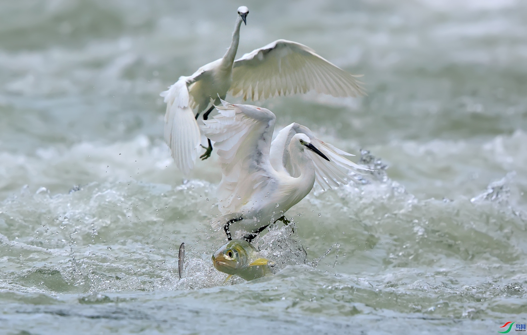 ˲�� ���� ��Ұ ����.jpg