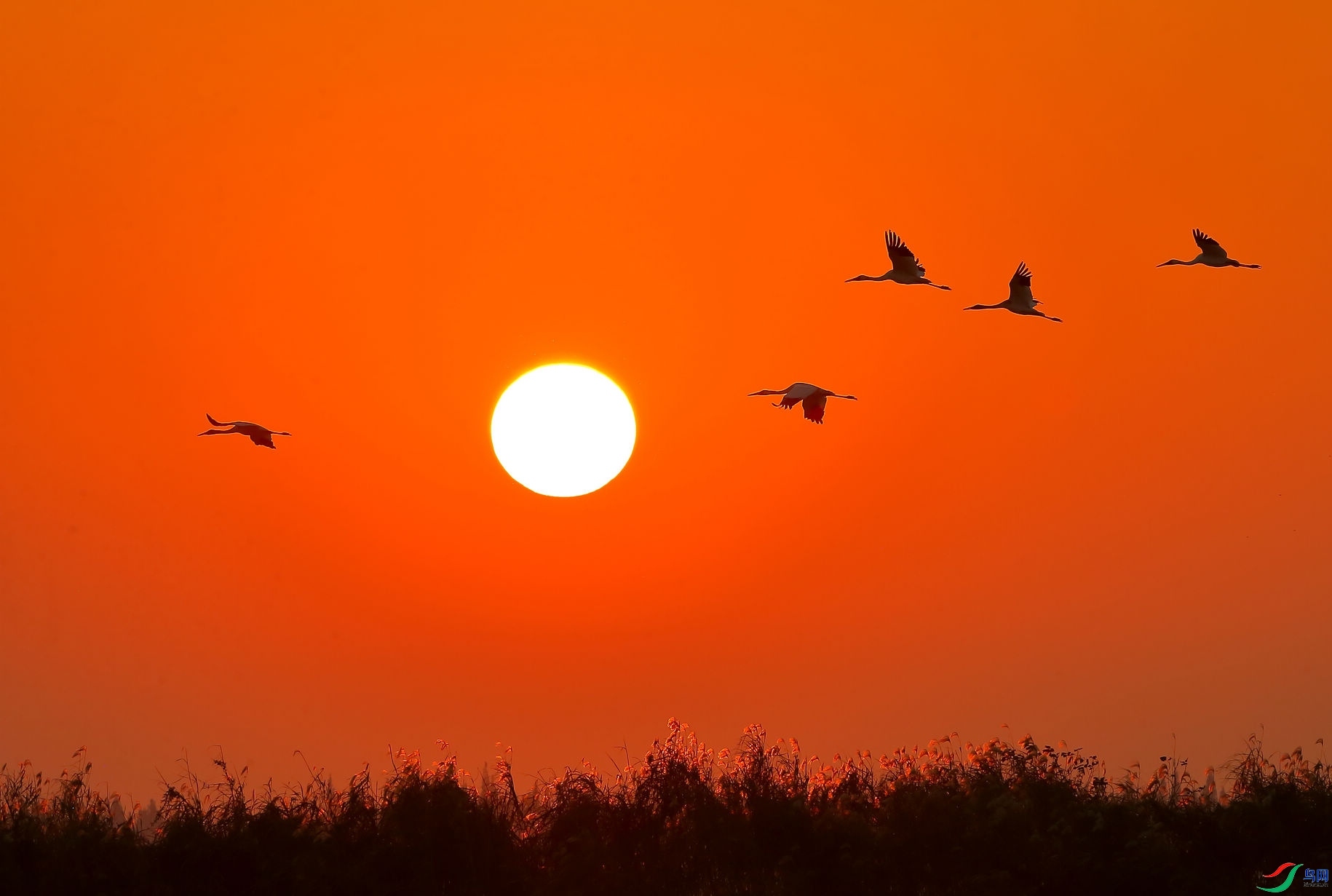 Ϧ��������  ���� 8341  ����.jpg