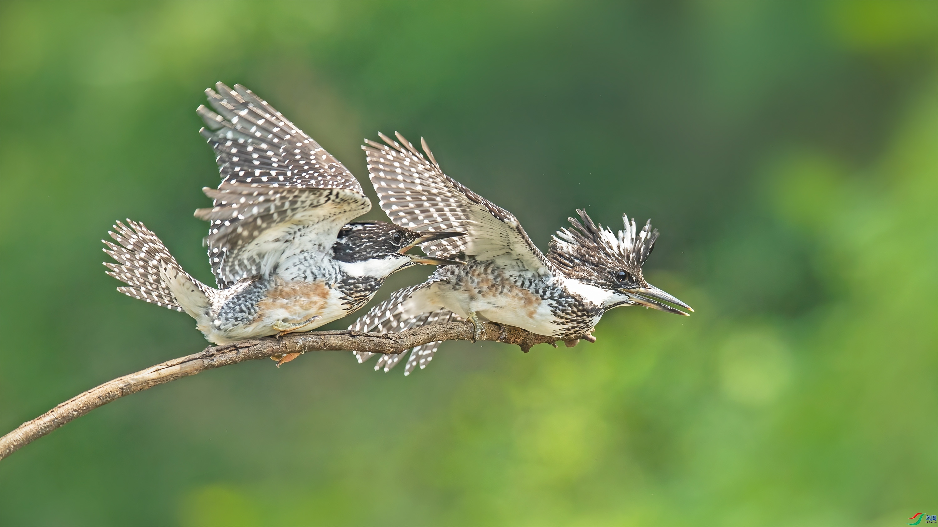 ���㹷  ���� wh�ϳ�  ����.jpg