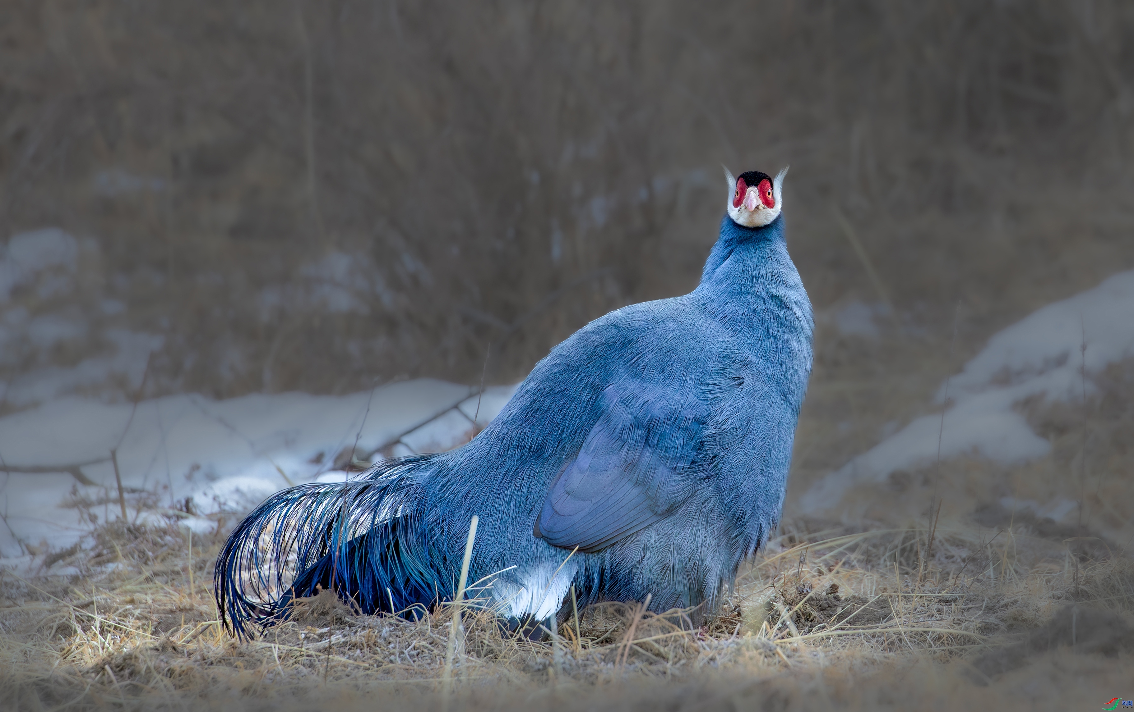 ��������  ���� ���� ����.jpg