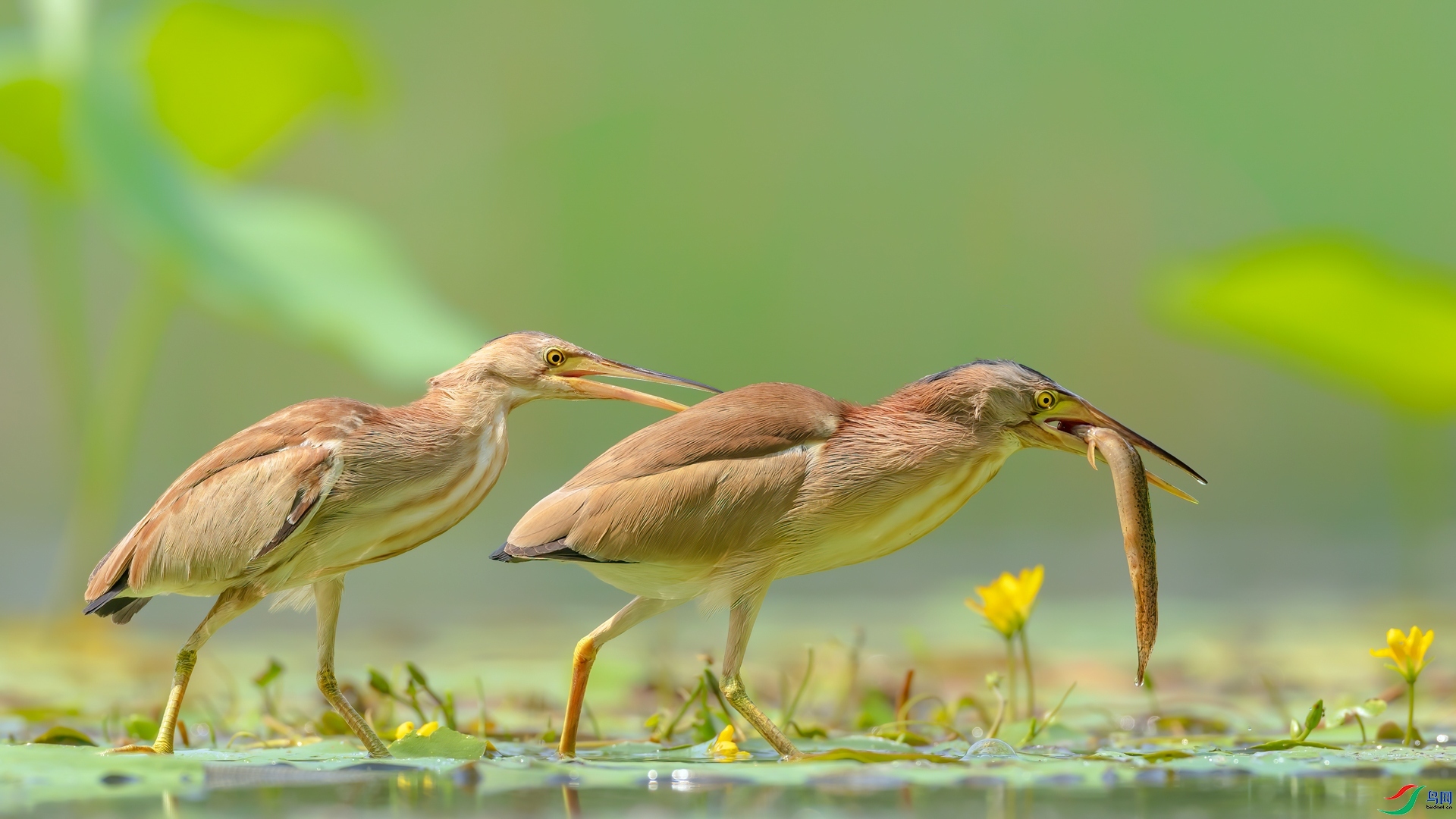 ����  ���� �Ű�����.jpg