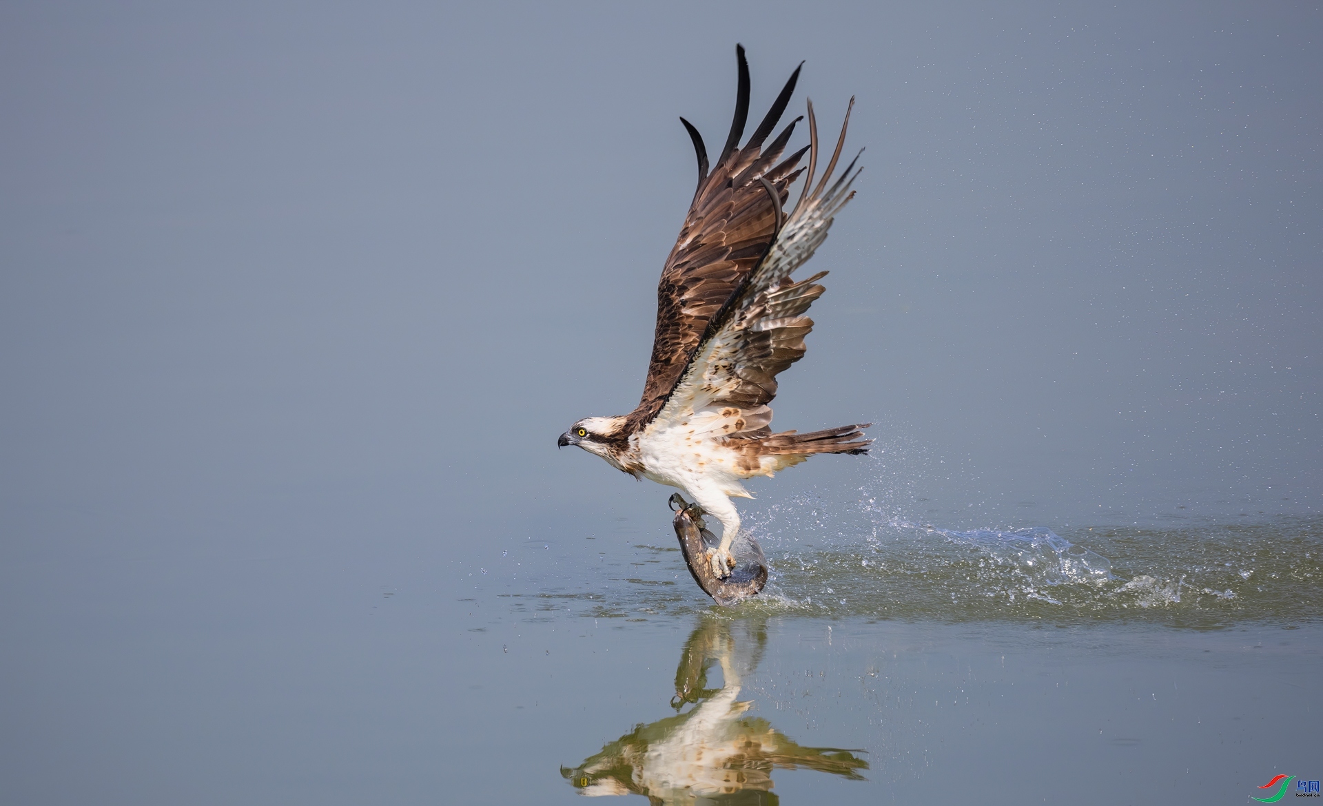 ����ɹ� ���� �ܷ� ����.jpg