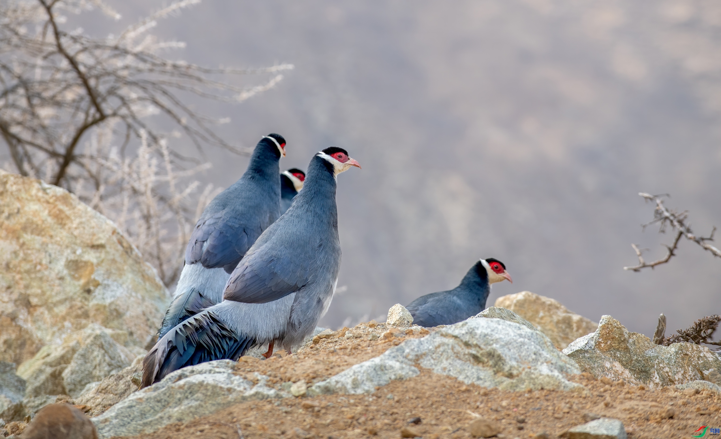 ������  ���� ��Ͽ֮�� ����.jpg