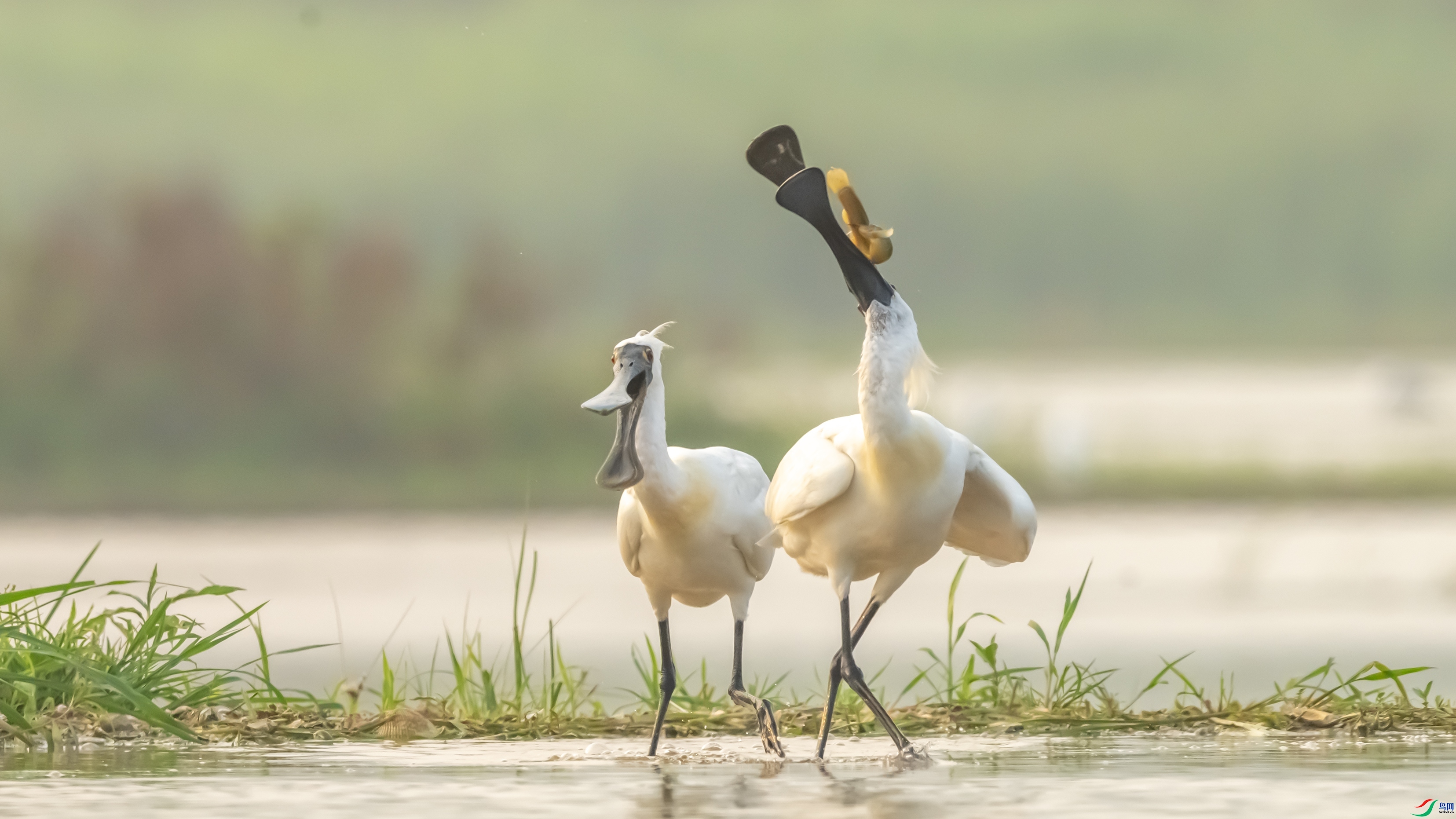 ��������  ���� ������ͷ ����.jpg