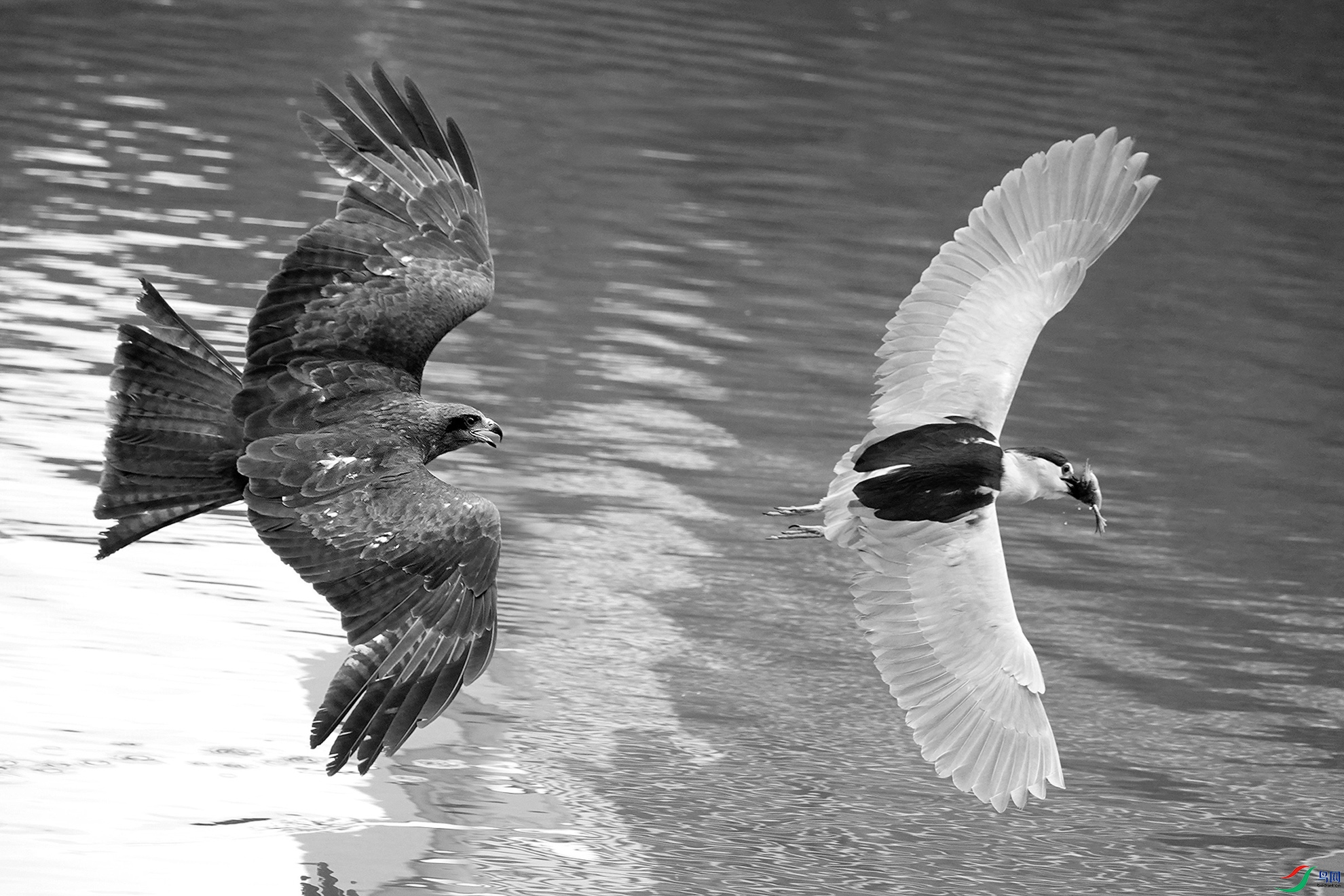 �ڶ�� (4) (1).jpg