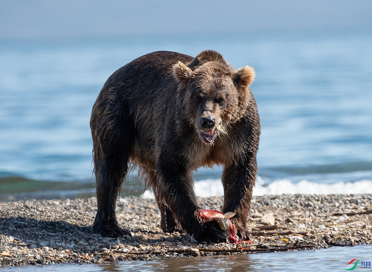 ÿ�춼�����ӽ�