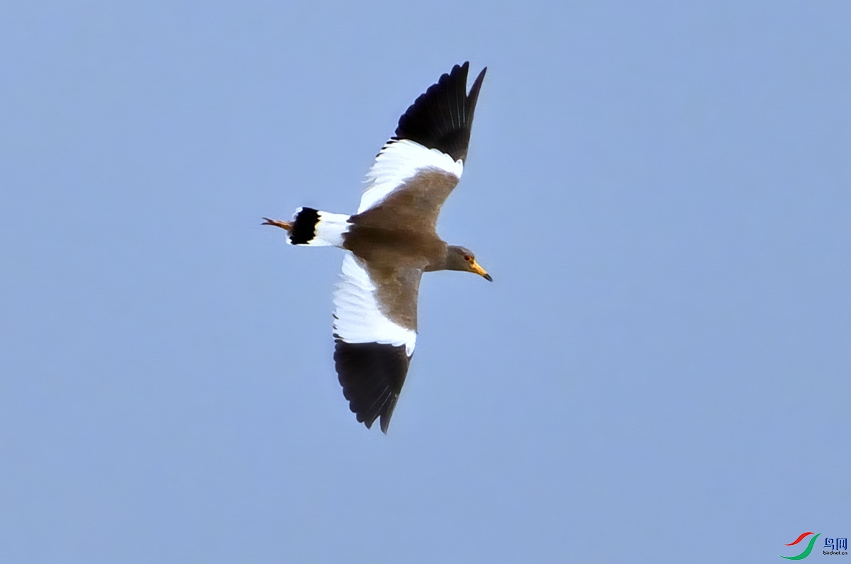 DSC_1250.jpg