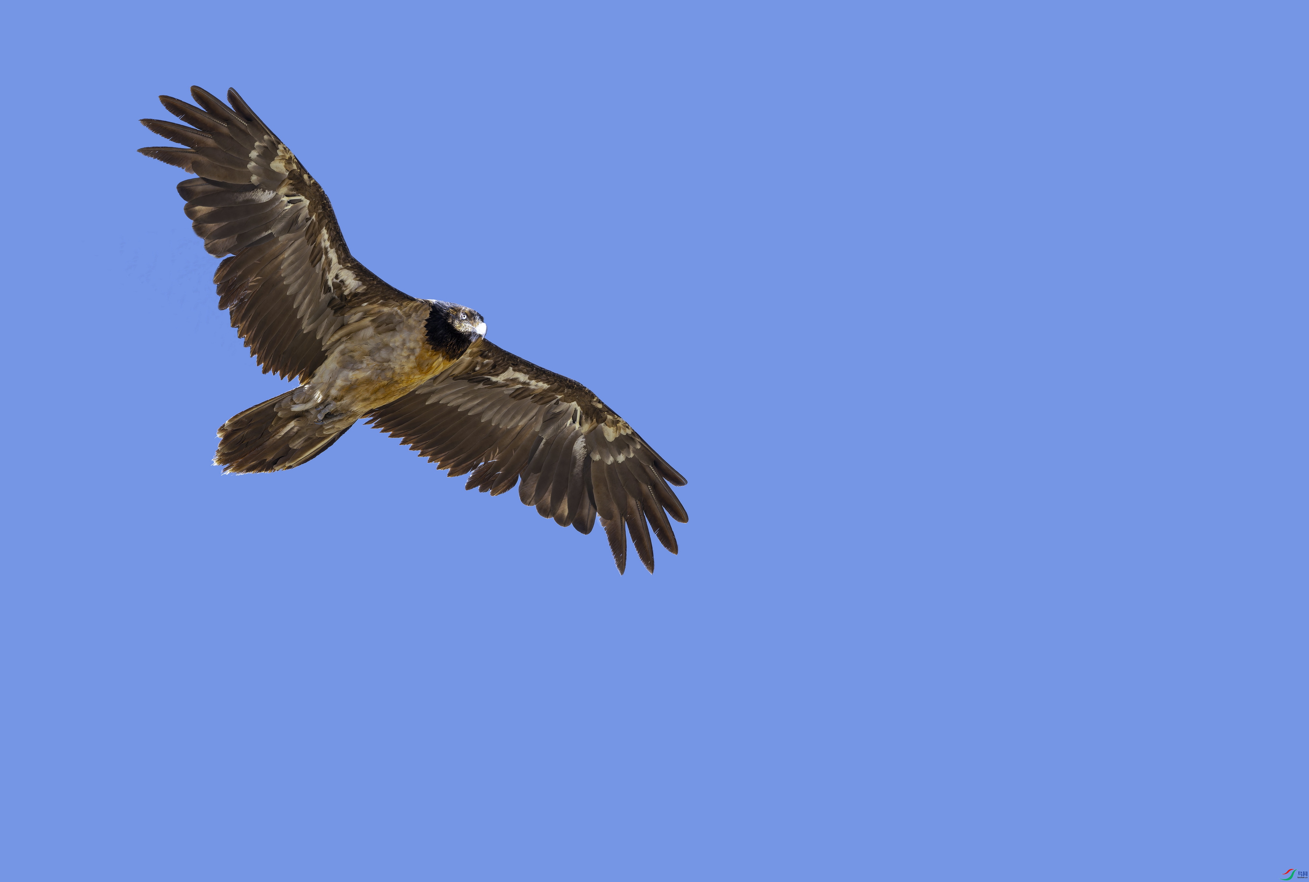 ��أ��  (2)-1.jpg