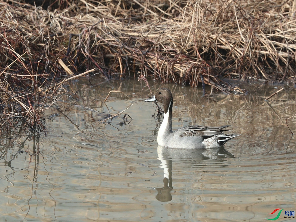 DSC20240113153.jpg