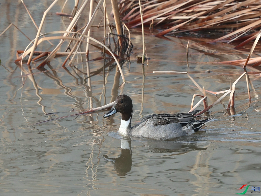DSC20240113194.jpg