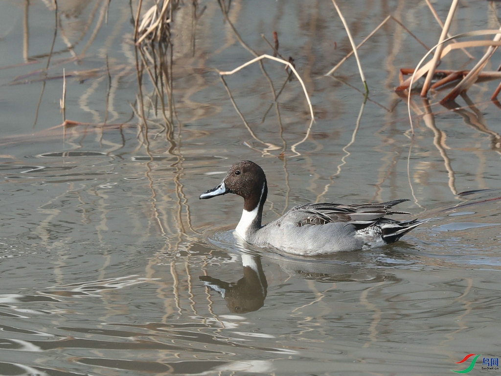 DSC20240113197.jpg