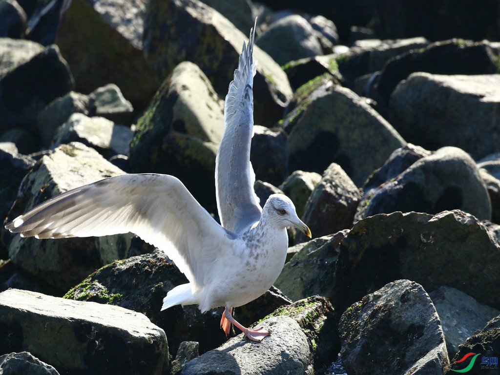 DSC20240124155.jpg