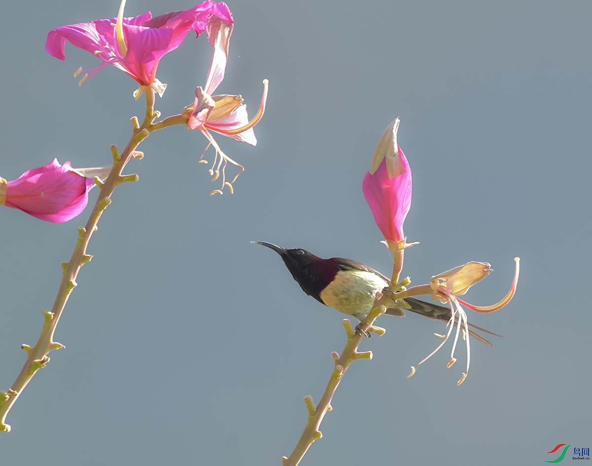 DSC_4259.JPG