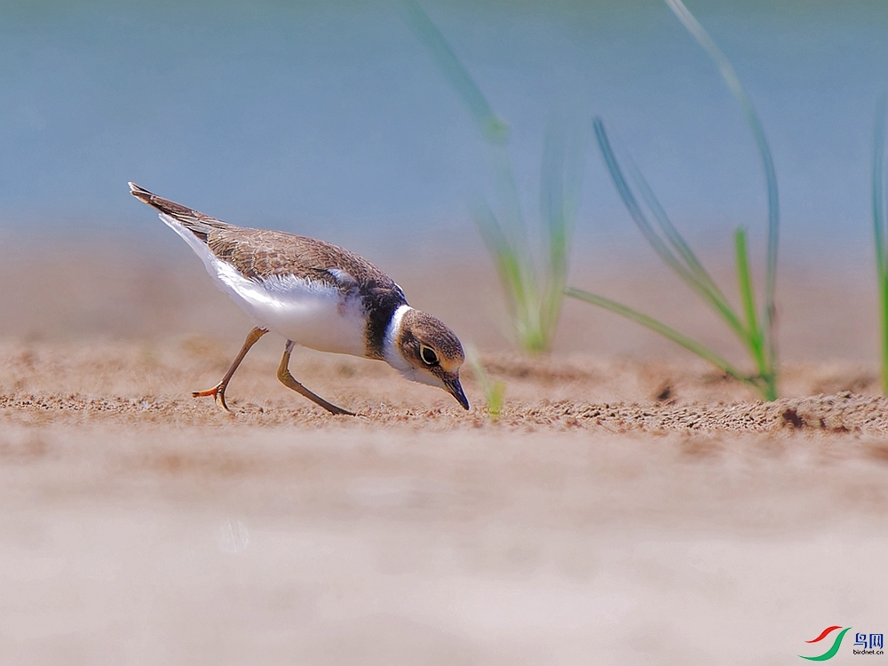 P8272053_DxO - ����.jpg