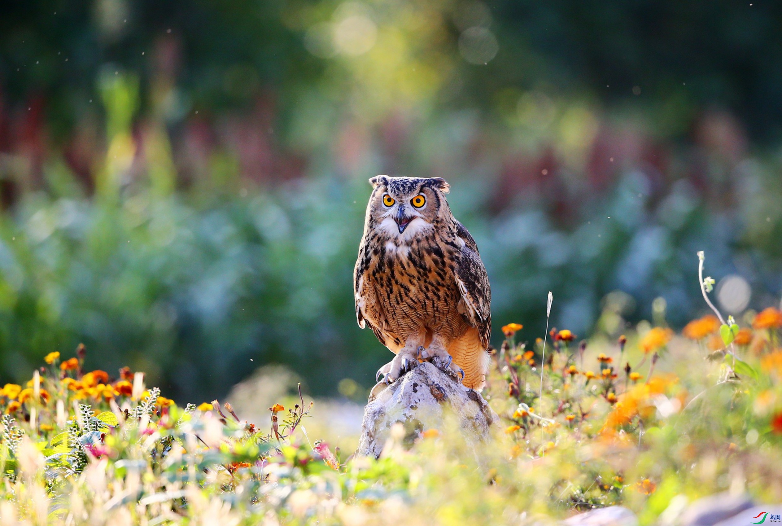 ���^  (73).JPG