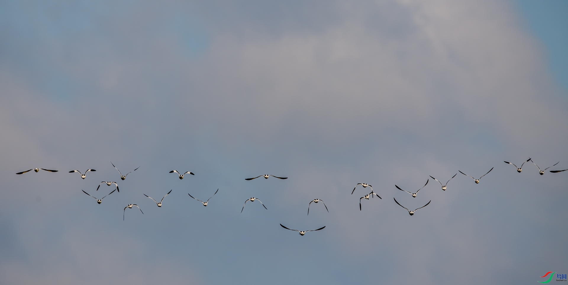 DSC_6039-1.jpg