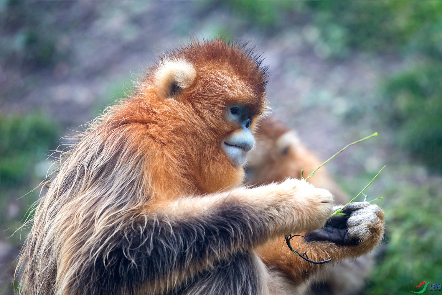BJ4T7876.jpg