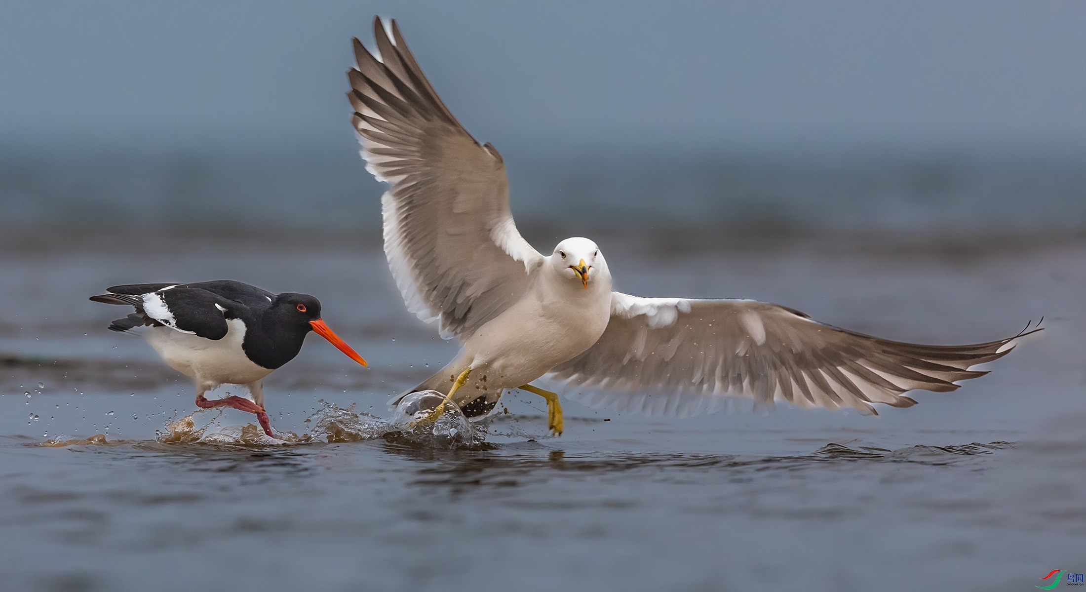 ��βŸ������