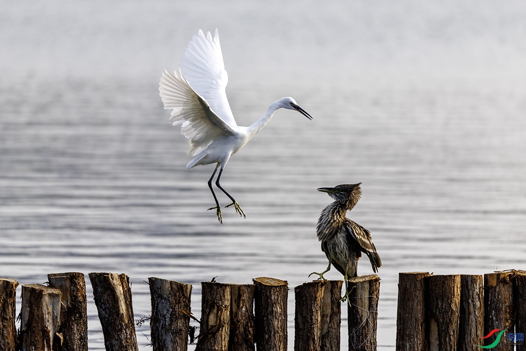 ���ء�ҹ��