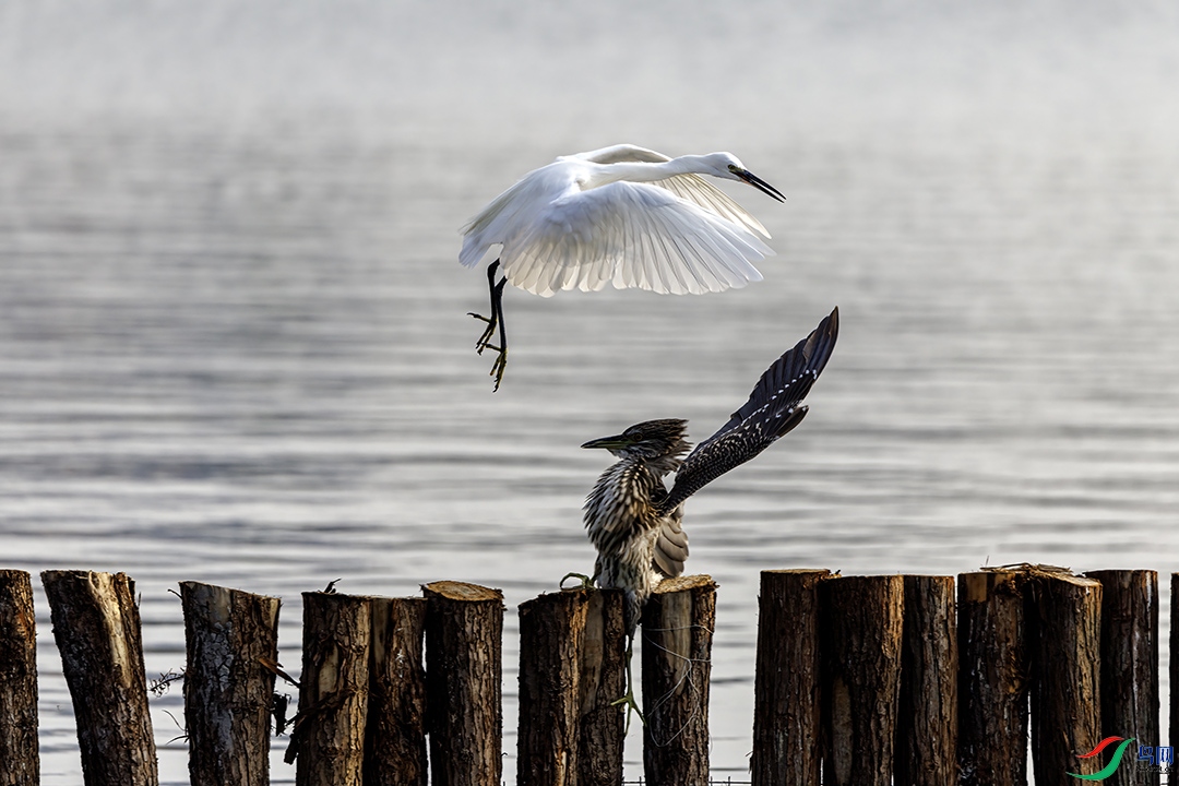 ���ء�ҹ��