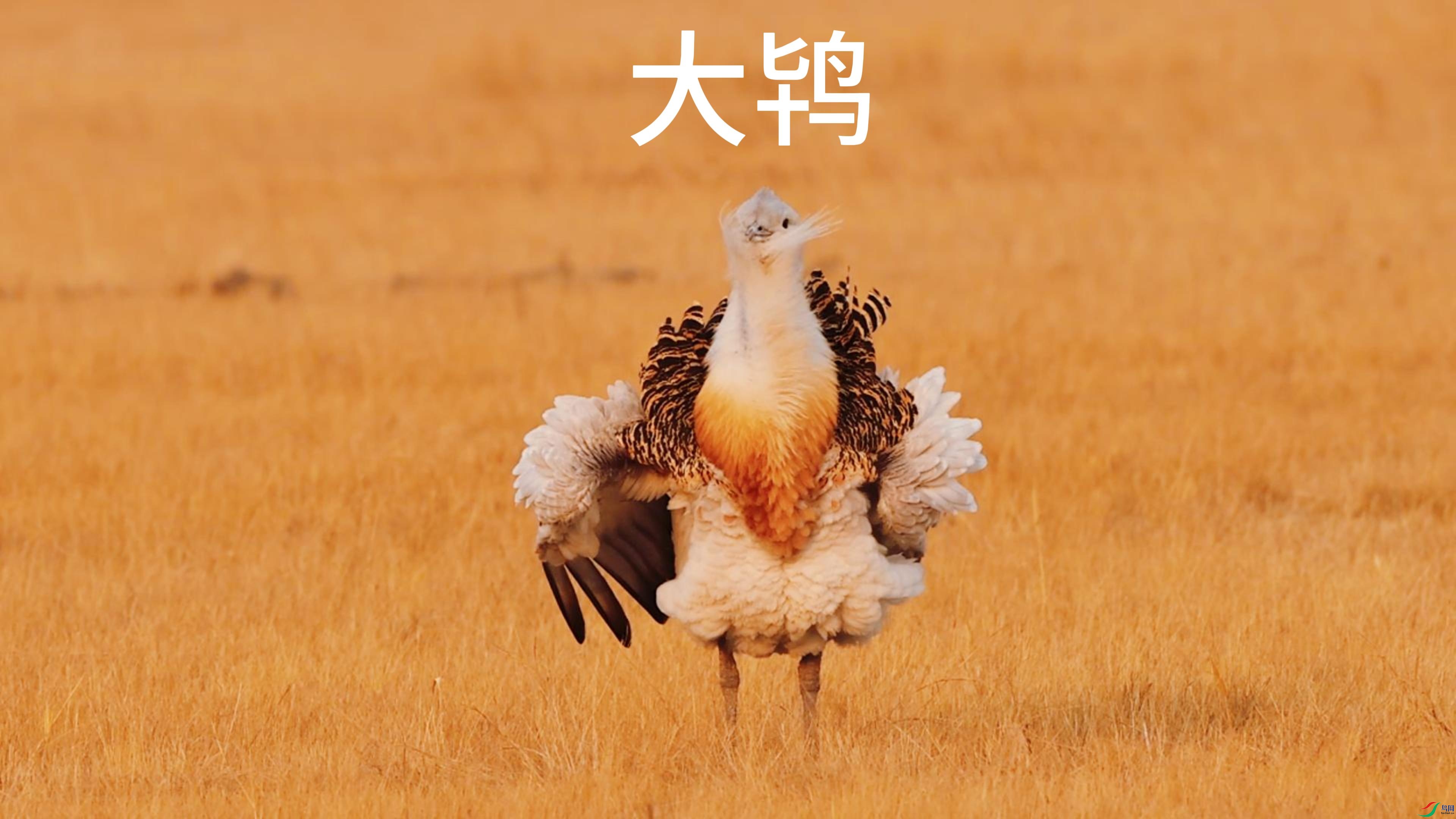 9��1�� (1)-����.jpg