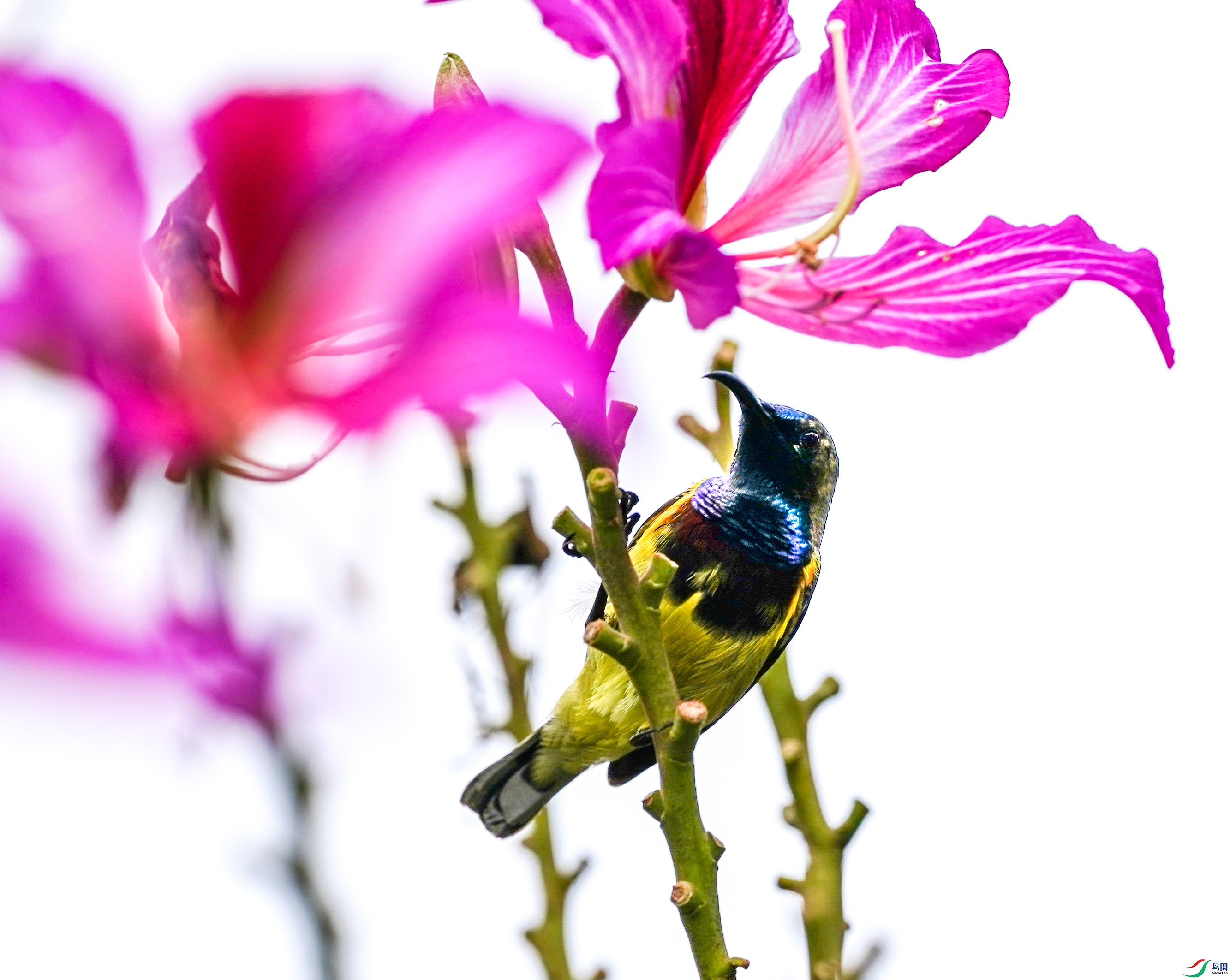 ��242 λ�����1.jpg