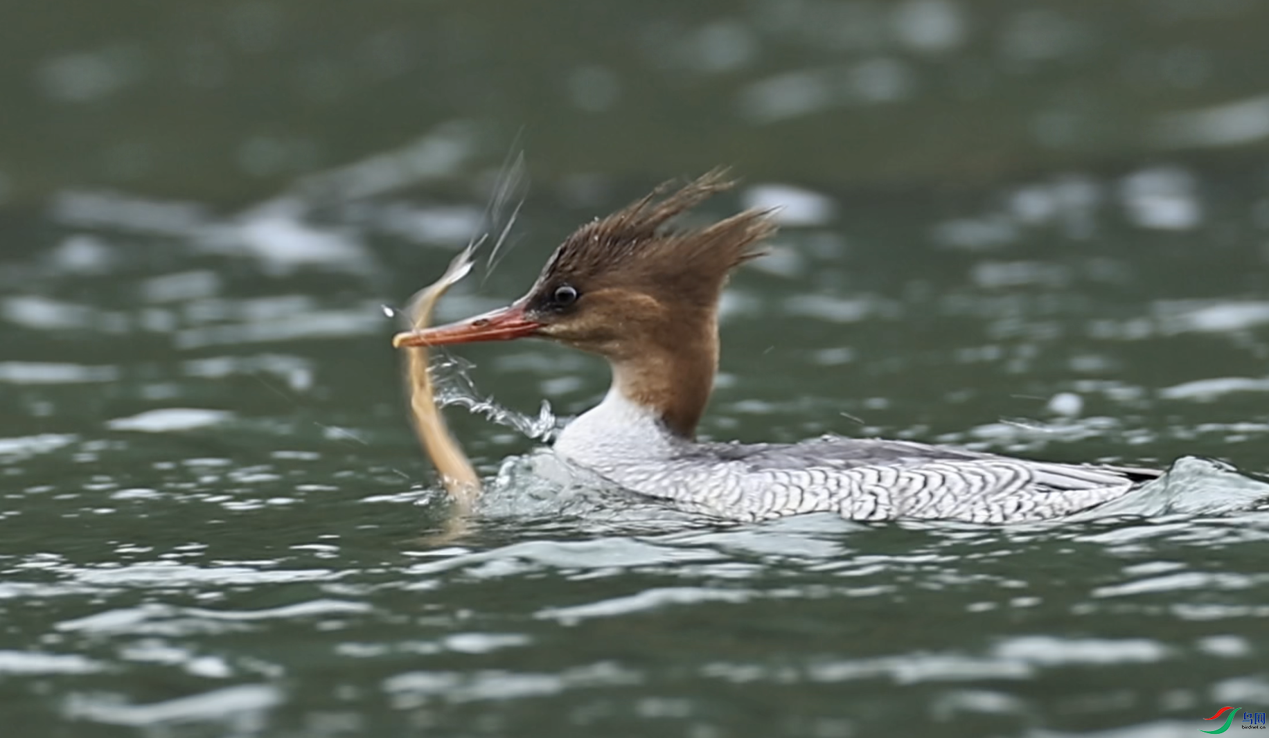 ����2024-09-02 21.15.11.png